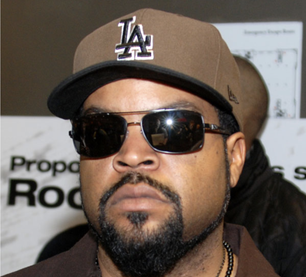 Ice Cube accuses Robinhood of trying to evade responsibility for ...