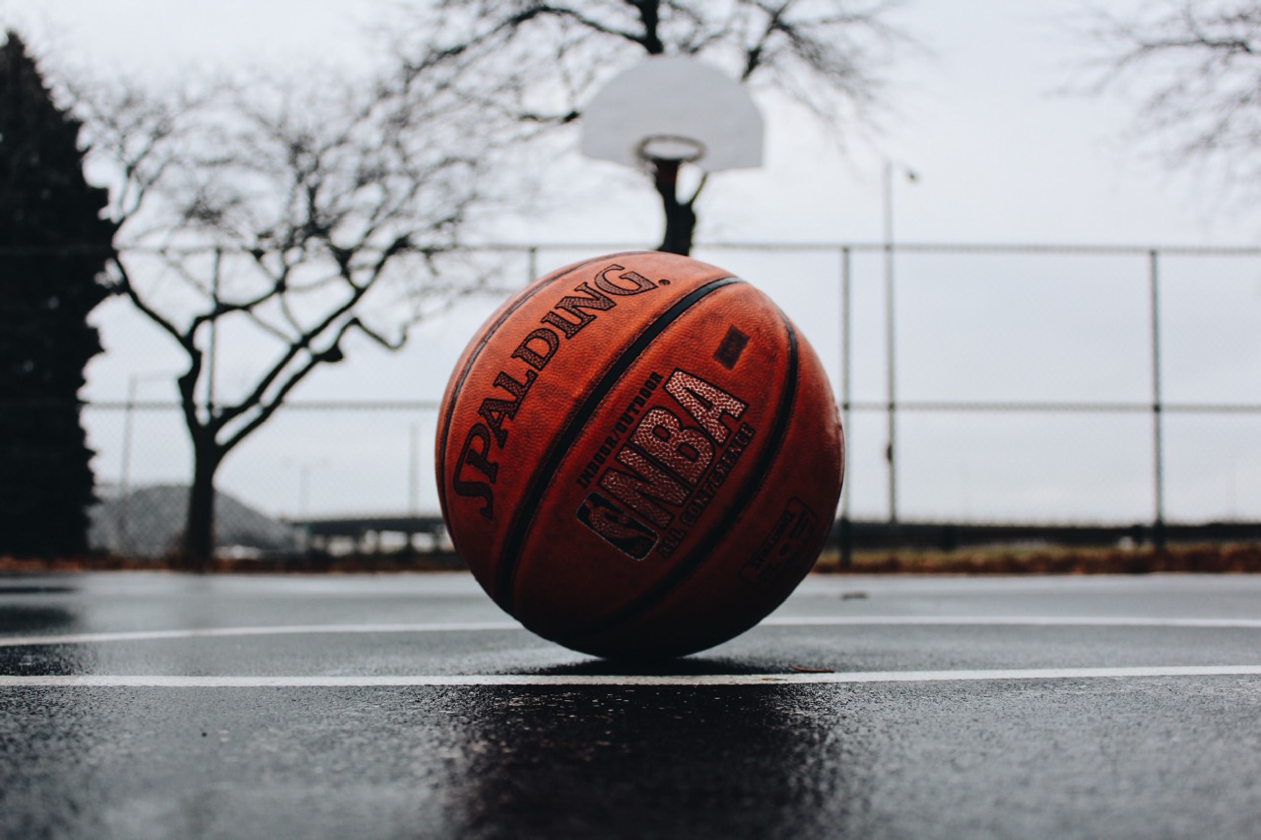 nba_basketball