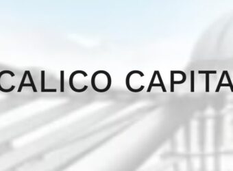 Calico Capital Tigerwit rebrand