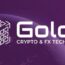 Gold-i new logo