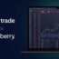 Blueberry DXtrade