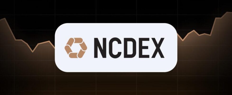 tradingview-widgets-on-ncdex-website-preview
