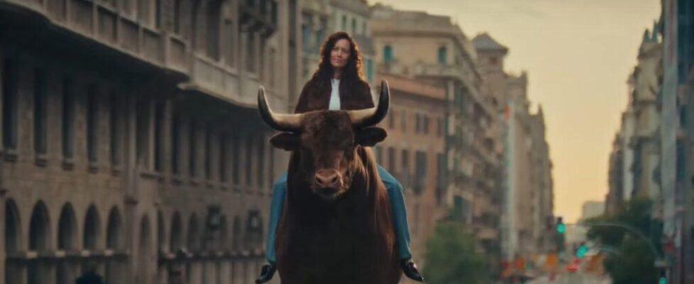 Swissquote take your finances by the horns