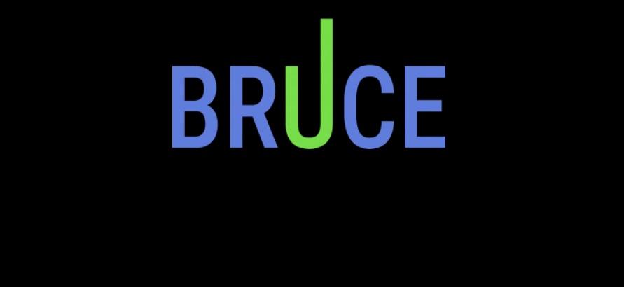 Interfejs Bruce Bet Casino z grami i bonusami