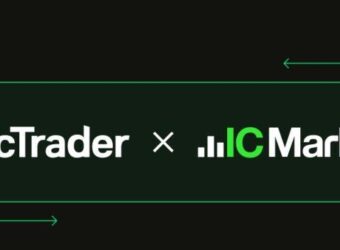cTrader ICMarkets copy trading widget