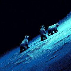 bears