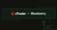cTrader Blueberry