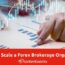 How to Scale a Forex Brokerage Organically