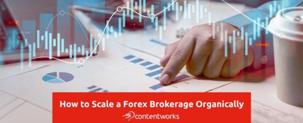 How to Scale a Forex Brokerage Organically