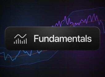 crypto-fundamentals-as-indicators-preview