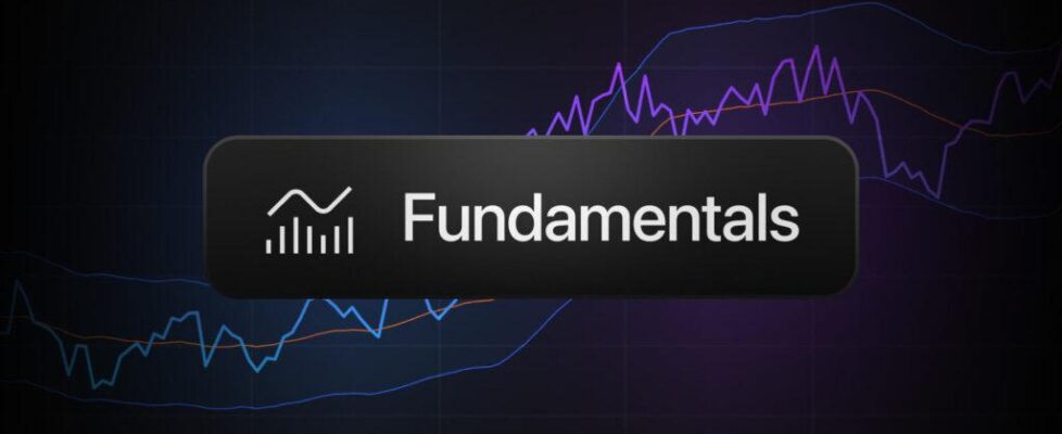 crypto-fundamentals-as-indicators-preview