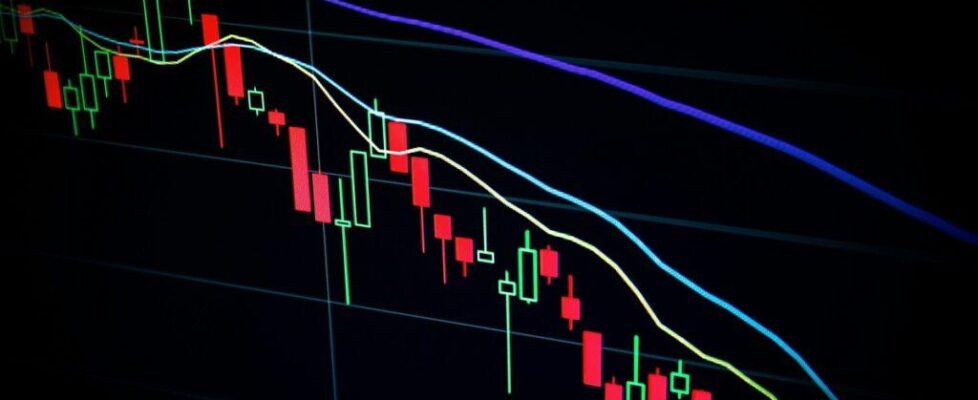 share price decline low