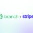 BranchxStripe_Horizontal_2