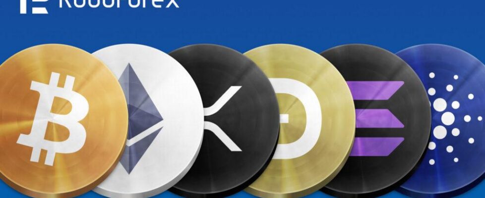 Crypto Launch roboforex