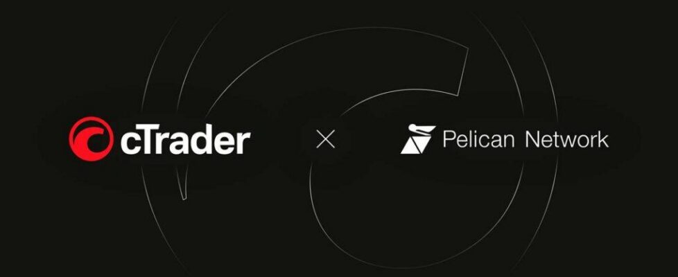 ctrader pelican network copy trading