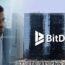 BitDelta