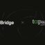 cBridge x Tapaas