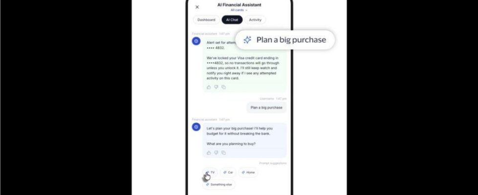 Visa AI assistant