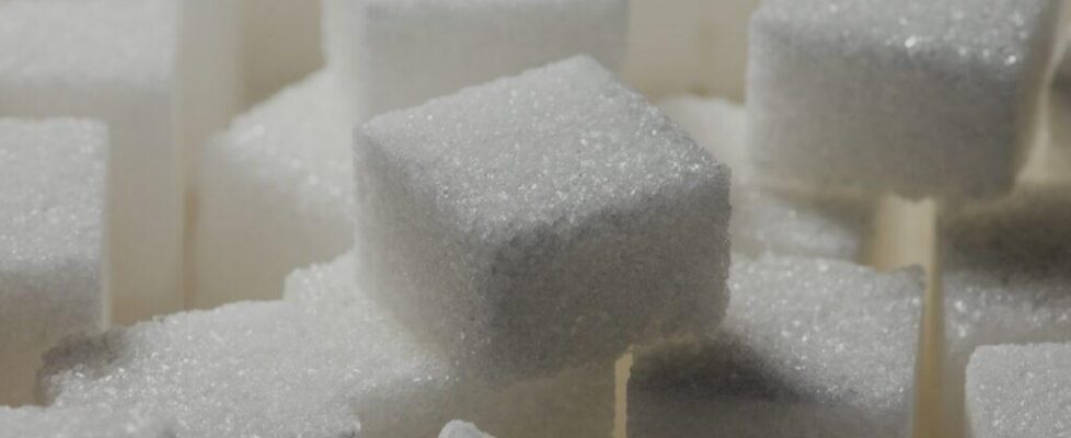 sugar