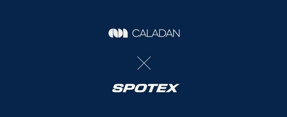 Caladan x Spotex